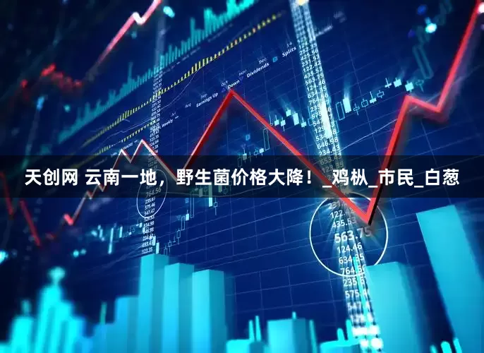 天创网 云南一地，野生菌价格大降！_鸡枞_市民_白葱