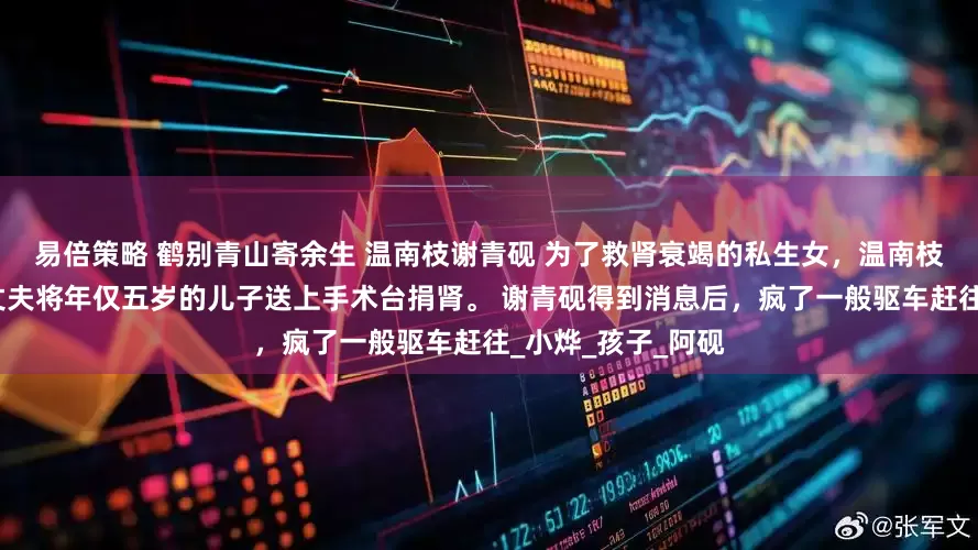 易倍策略 鹤别青山寄余生 温南枝谢青砚 为了救肾衰竭的私生女，温南枝竟然瞒着他这个丈夫将年仅五岁的儿子送上手术台捐肾。 谢青砚得到消息后，疯了一般驱车赶往_小烨_孩子_阿砚