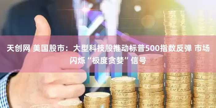 天创网 美国股市：大型科技股推动标普500指数反弹 市场闪烁“极度贪婪”信号