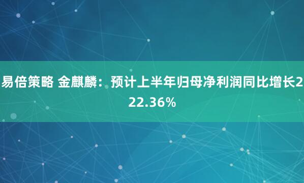 易倍策略 金麒麟：预计上半年归母净利润同比增长222.36%
