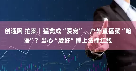 创通网 拍案丨猛禽成“爱宠”、户外直播藏“暗语”？当心“爱好”撞上法律红线